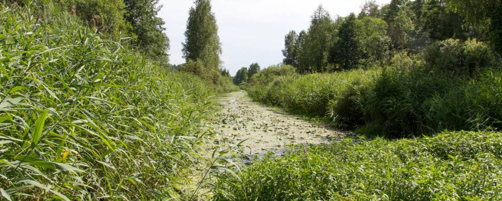 
            Фотография Жерино