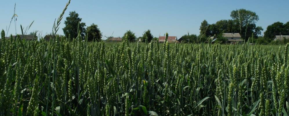 Фотография Адаховщины