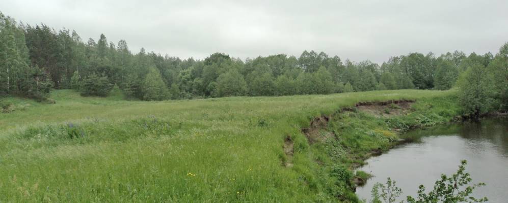 Фотография Санков