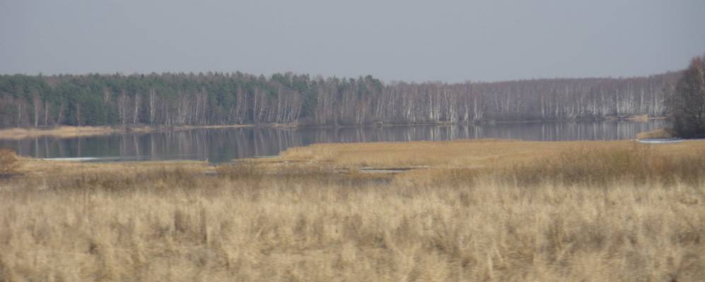 
            Фотография Красного Сумароково