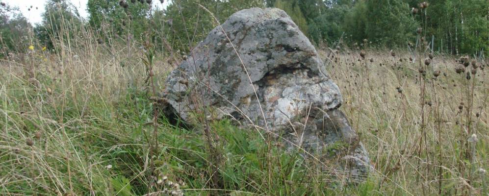 
            Фотография Клина