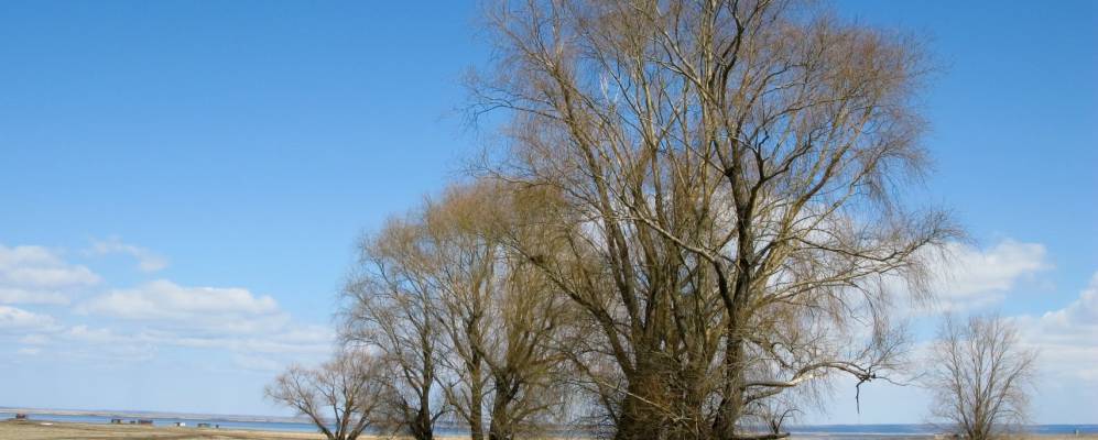 
            Фотография Трудовика