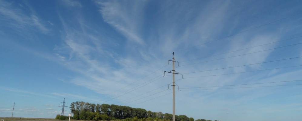 
            Фотография Скрипкина