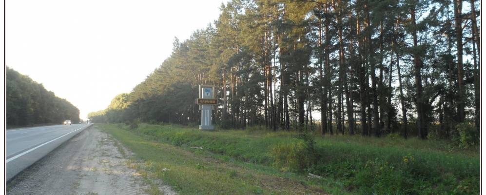 
            Фотография Мокрого