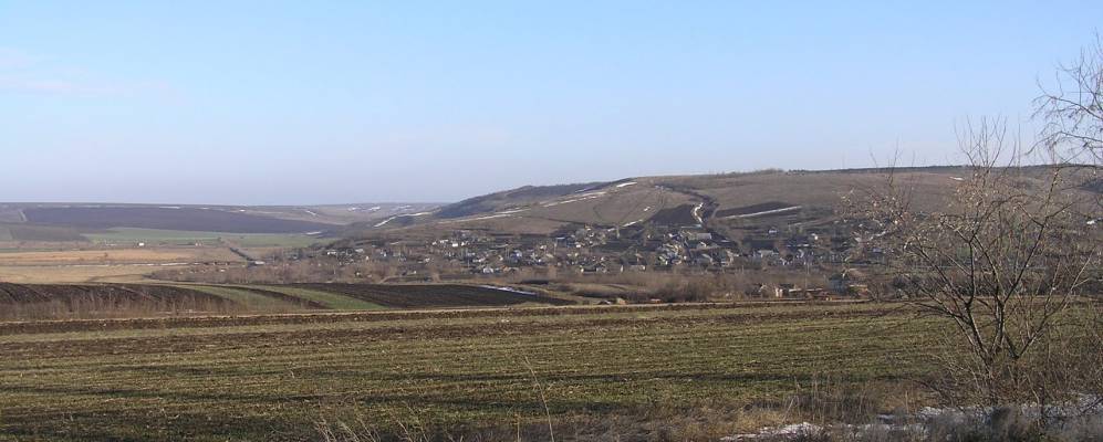 
            Фотография Будаевцы