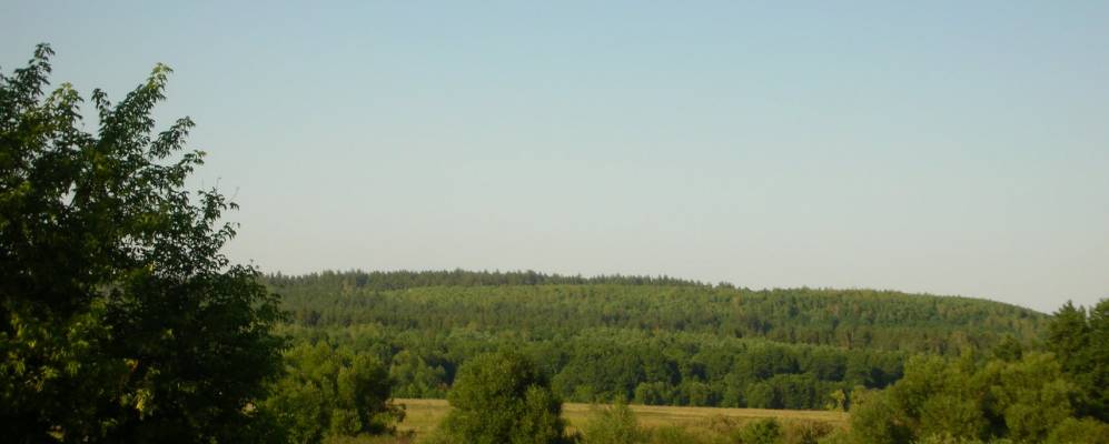 титовка тамбовская область. титовка егорьевский район. титовка тамбовская область. дом сосновский район дегтянка. титовка егорьевский район.