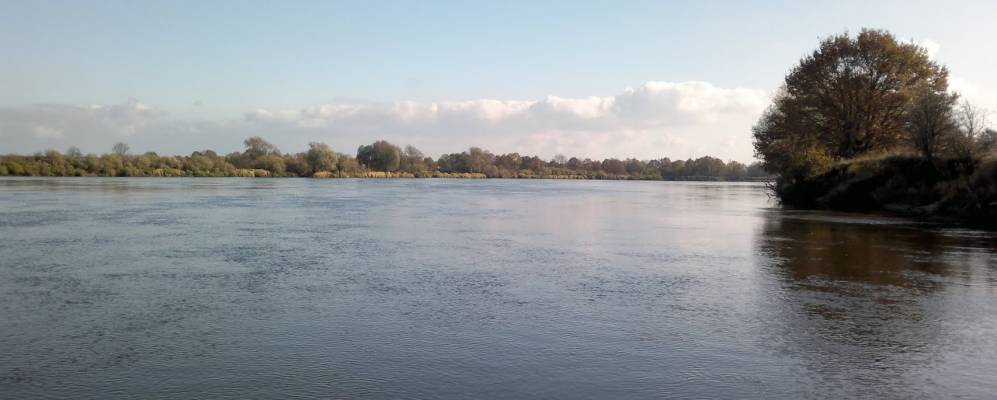 Фотография Милограда