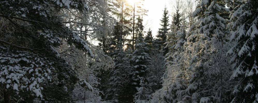 
            Фотография Богатырево
