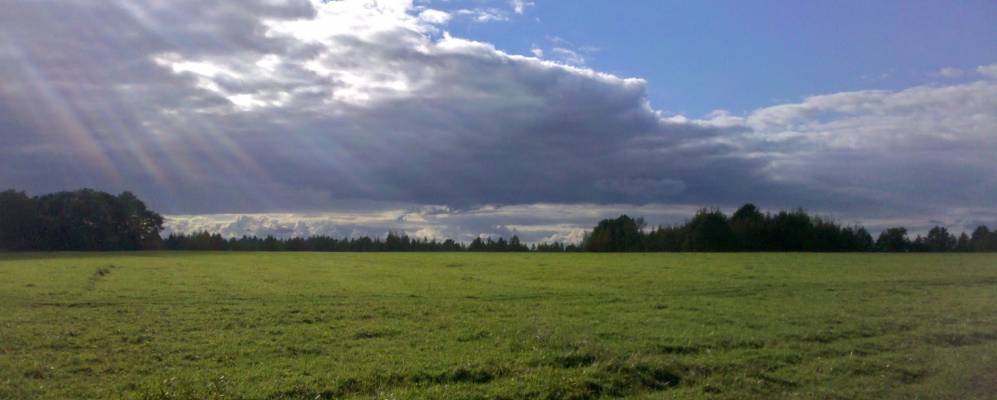 
            Фотография Субовичей