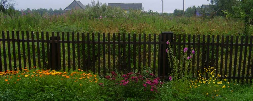 
            Фотография Опрятково