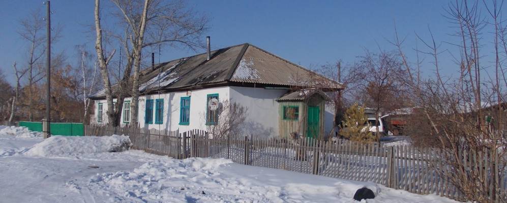 
            Фотография Бронзовки