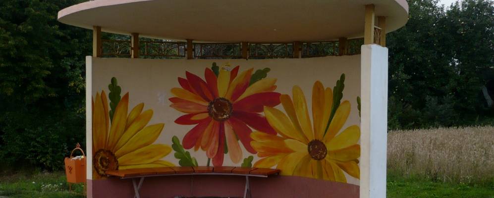 Фотография деревни Козлы