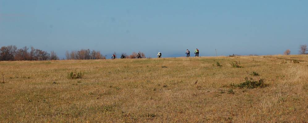 
            Фотография Лозоватки
