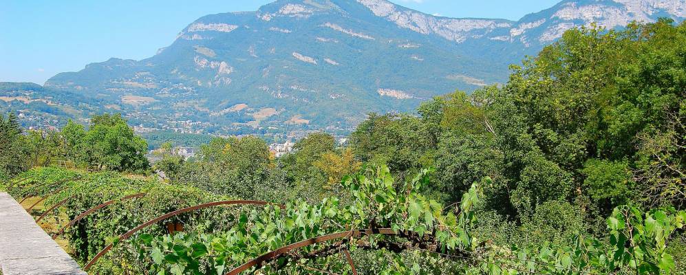 
            Фотография Барбера