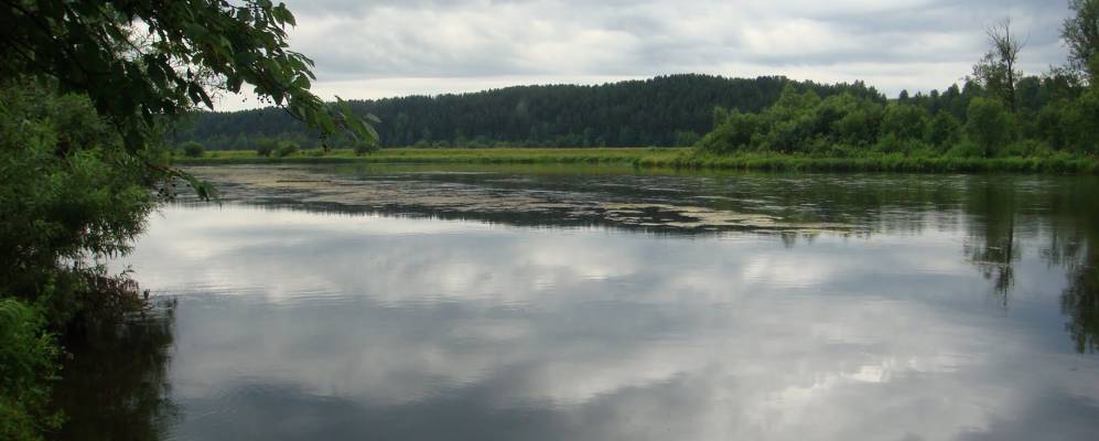 
            Фотография Сажино