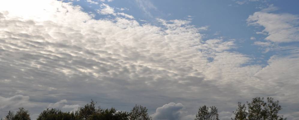 
            Фотография Осеево