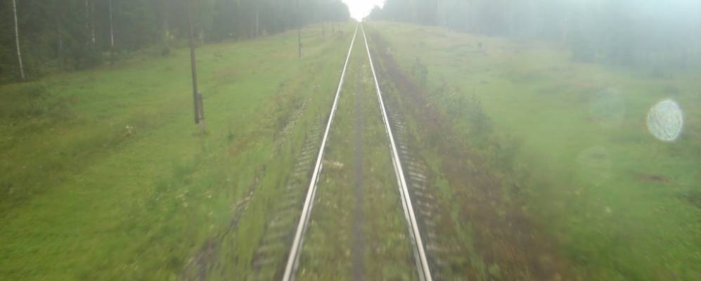 
            Фотография Филиповки