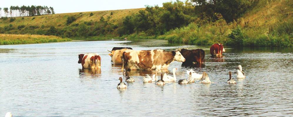 
            Фотография Быстрого