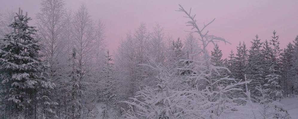 
            Фотография Осташево