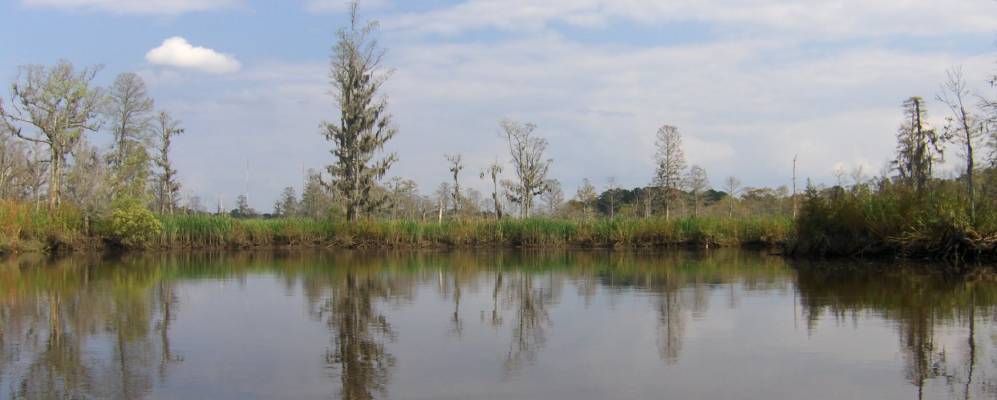 
            Фотография Навассы