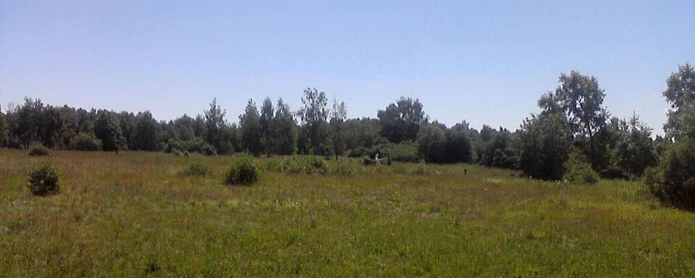 Фотография Кобылино