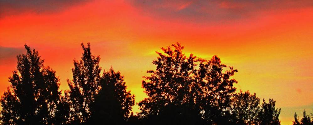 
            Фотография Пяшино