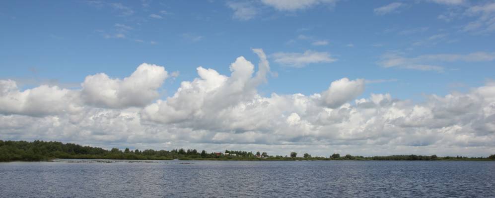 
            Фотография Кунино