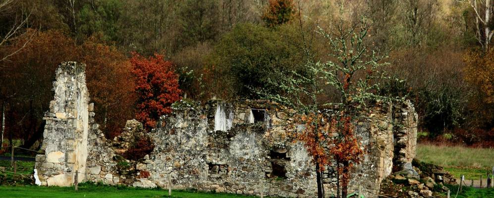 
            Фотография Пантона