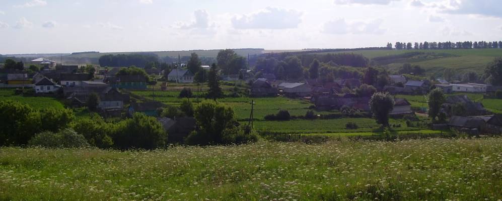 
            Фотография Сизы