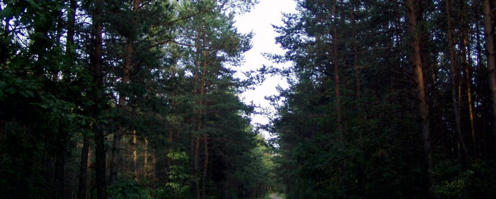 
            Фотография деревни Толотишки