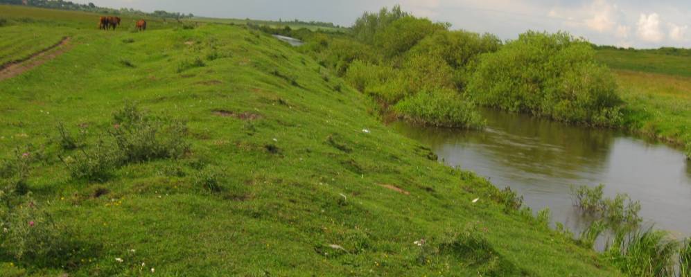 
            Фотография Сокольников