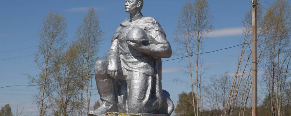 Фотография Скулепово