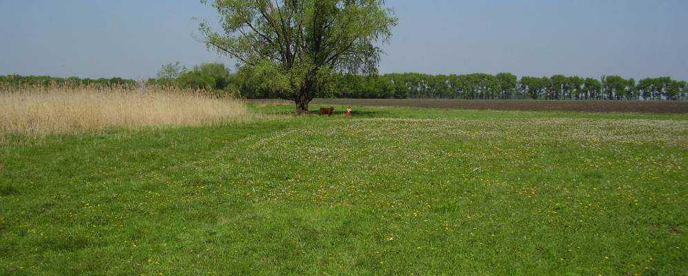 
            Фотография Виноградовки