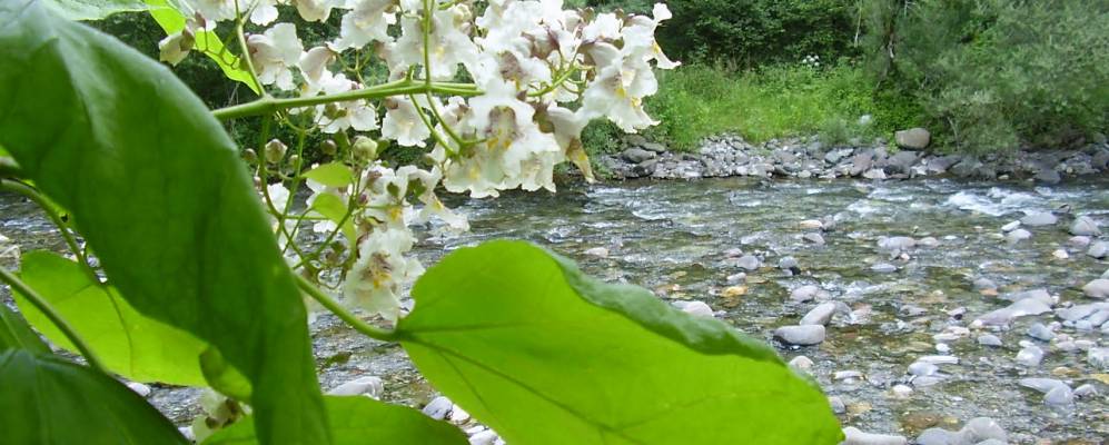 
            Фотография Cette-Eygun