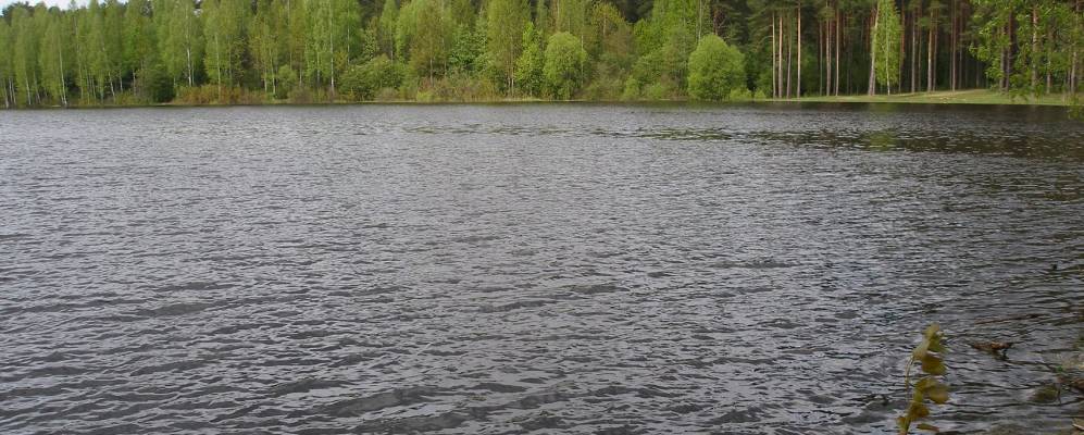 
            Фотография Поляковки