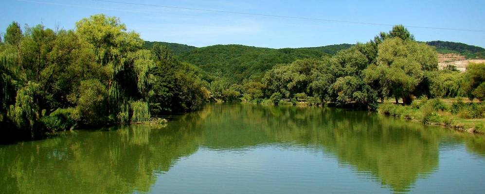 
            Фотография Каменицы