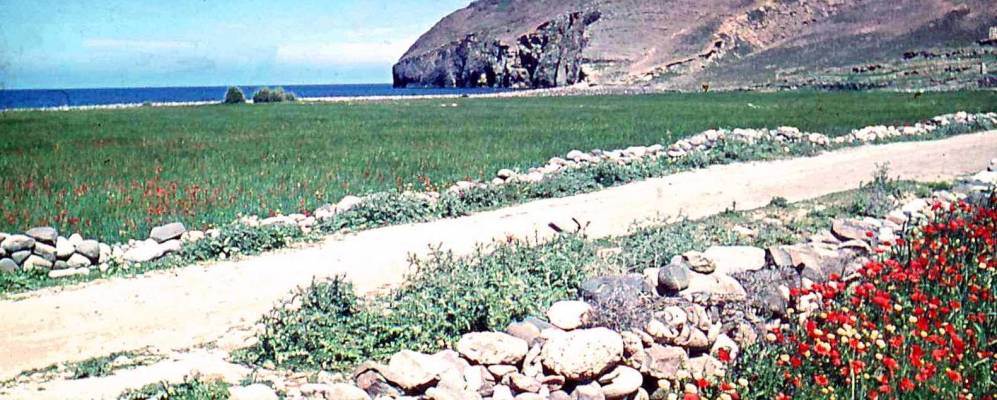 
            Фотография Пачаины