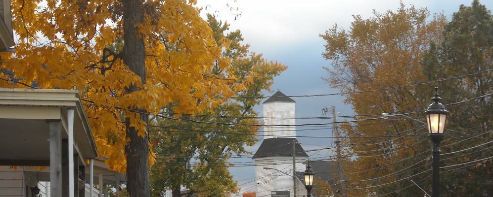 
            Фотография Пайн Буша