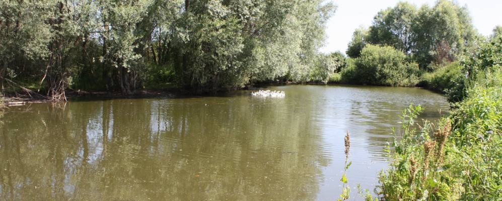 
            Фотография Казеевки