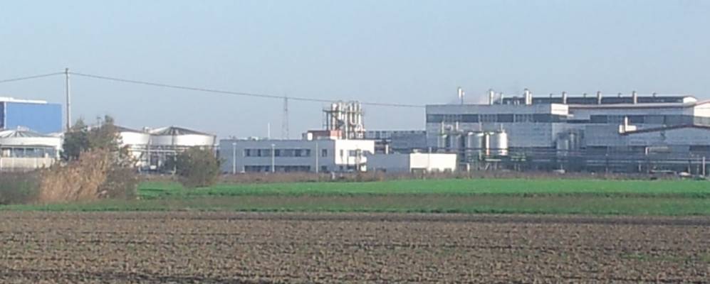 
            Фотография Треказали