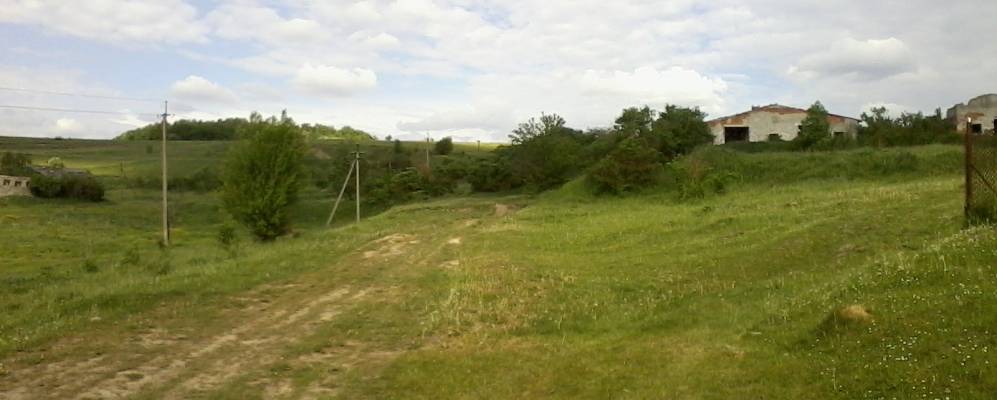 
            Фотография Ланы