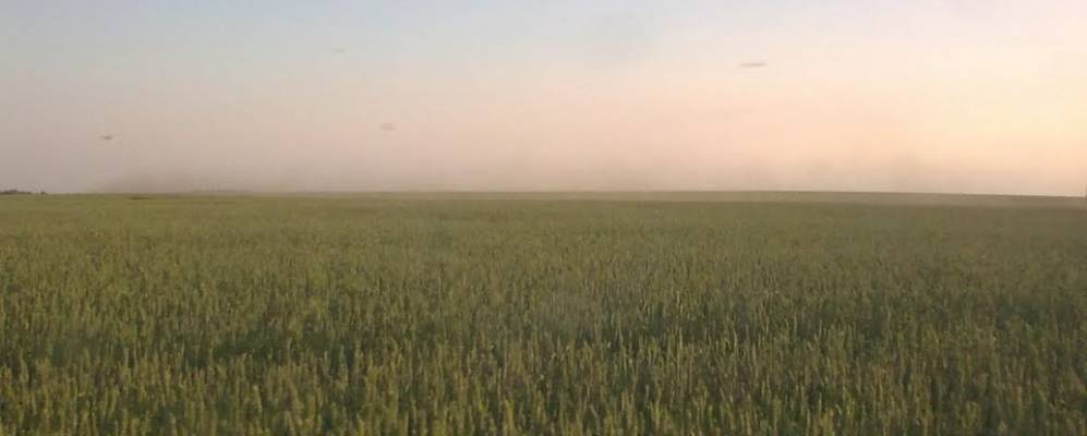 Фотография Шемелино