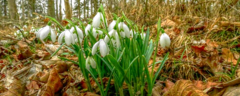 
            Фотография Аннекена