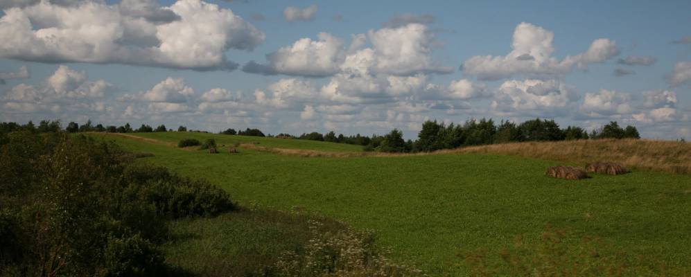 
            Фотография Лосево