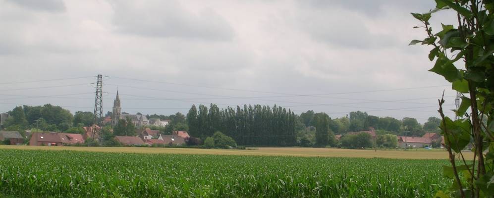 
            Фотография Аллуань