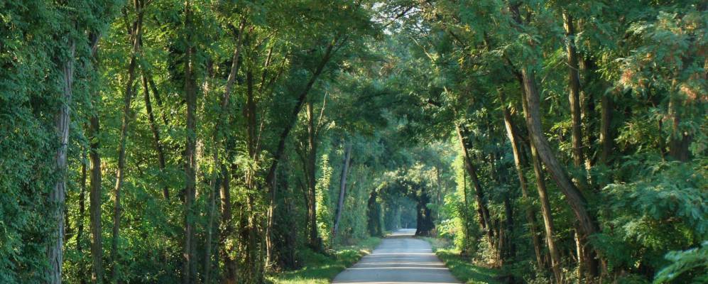 
            Фотография Амберлюкс-де-Азергюса