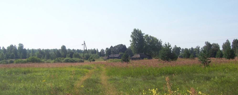 
            Фотография деревни Полуовчинки