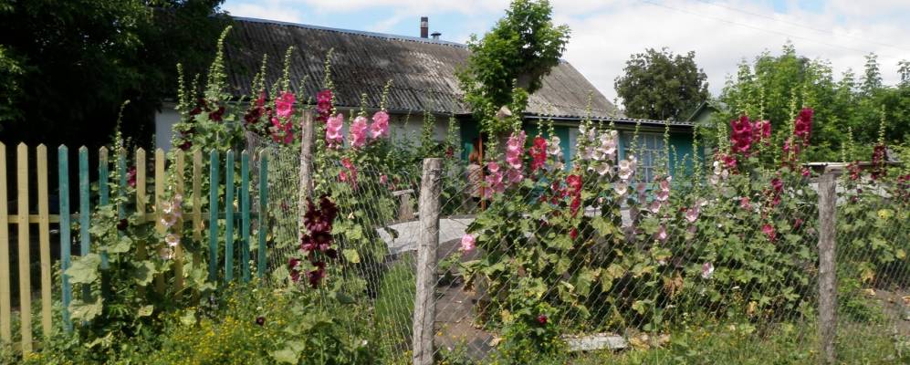 
            Фотография села Козье