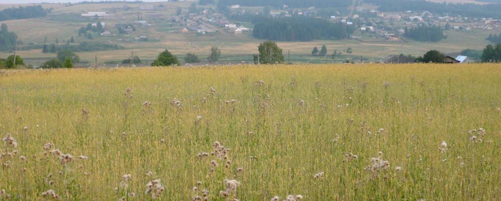 Фотография Некрасовых