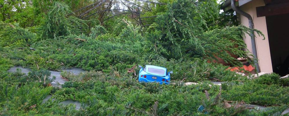 
            Фотография Лё-Сандра